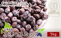 【北海道産】冷凍ハスカップ 1kg　【ポイント交換専用】