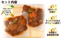 こだわり 手作り ビーフシチュー 国産 牛肉使用 新潟県 南魚沼市 約2人前