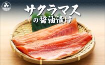 北海道産　サクラマスの魚醤漬けと鮭の山漬け　6パックセット　化粧箱付