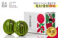 2025年7月中旬から発送予定　野菜ソムリエサミット金賞受賞　「清水農園の八色産小玉スイカ」（2玉）