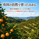 【先行受付】はじめまして&nbsp;有田みかん&nbsp;3kg　和歌山県有田川町産　お試し・味重視｜【みかん&nbsp;ミカン&nbsp;みかん&nbsp;mikan&nbsp;みかん&nbsp;ミカン&nbsp;みかん&nbsp;ミカン&nbsp;みかん&nbsp;ミカン&nbsp;みかん&nbsp;ミカン&nbsp;みかん&nbsp;ミカン】