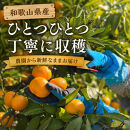 【先行受付】はじめまして&nbsp;有田みかん&nbsp;3kg　和歌山県有田川町産　お試し・味重視｜【みかん&nbsp;ミカン&nbsp;みかん&nbsp;mikan&nbsp;みかん&nbsp;ミカン&nbsp;みかん&nbsp;ミカン&nbsp;みかん&nbsp;ミカン&nbsp;みかん&nbsp;ミカン&nbsp;みかん&nbsp;ミカン】