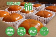 【産地直送】和歌山県産　柿　2.5～3kg