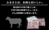 新潟牛 南魚沼産 にいがた 黒毛和牛 切り落とし 大容量 1kg