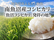 【令和7年産】【玄米】自然農法/化学肥料不使用の南魚沼産こしひかり5kg　【魚沼産&nbsp;銘柄米&nbsp;特A&nbsp;コシヒカリ&nbsp;こしひかり&nbsp;新潟米&nbsp;玄米&nbsp;和食向&nbsp;国産米&nbsp;定番米&nbsp;高評価&nbsp;産地直&nbsp;家庭用&nbsp;ブランド米&nbsp;味重視】