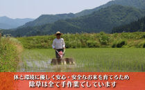 【頒布会】「こいみのり」鯉農法で創った特別なコシヒカリ南魚沼有機栽培（玄米5kg×全6回）