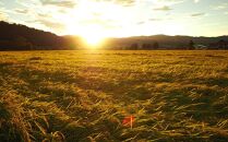 【令和7年産】特別栽培米南魚沼産こしひかり8割減&nbsp;15kg&nbsp;精米&nbsp;農薬8割削減&nbsp;有機肥料&nbsp;精米HACCP認定工場&nbsp;特A獲得日本一産地&nbsp;高品質精米&nbsp;もっちり甘い&nbsp;南魚沼産コシヒカリ