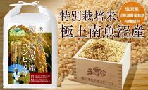 特別栽培米「極上南魚沼産コシヒカリ」（有機肥料、8割減農薬栽培）玄米10ｋｇ