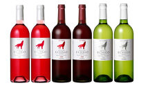 新潟県限定　新シリーズ　WOLF