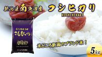 【新米】令和６年産新潟県南魚沼産コシヒカリ5kg