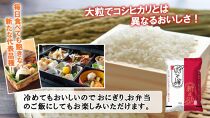 【新米】令和６年産新潟県南魚沼産新之助5kg