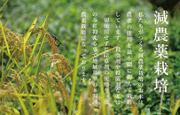 【令和7年産新米予約】関智晴がつくる南魚沼塩沢産コシヒカリ5kg　減農薬栽培米【2025年9月中旬より順次発送予定】