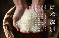 【令和7年産新米予約】関智晴がつくる南魚沼塩沢産コシヒカリ5kg　減農薬栽培米【2025年9月中旬より順次発送予定】