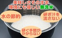 【JAみなみ魚沼定期便】南魚沼産こしひかり無洗米（5kg×全6回）