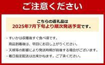 先行予約【高級】八色原すいか大玉２玉