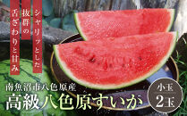 先行予約【高級】八色原すいか小玉２玉【2026年7月中旬発送】【お届け日時指定不可】
