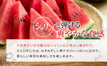 先行予約【高級】八色原すいか小玉２玉【2026年7月中旬発送】【お届け日時指定不可】