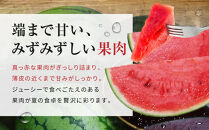先行予約【高級】八色原すいか小玉２玉【2026年7月中旬発送】【お届け日時指定不可】