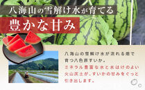 先行予約【高級】八色原すいか小玉２玉【2026年7月中旬発送】【お届け日時指定不可】