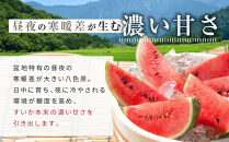 先行予約【高級】八色原すいか小玉２玉【2026年7月中旬発送】【お届け日時指定不可】