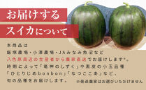 先行予約【高級】八色原すいか小玉２玉【2026年7月中旬発送】【お届け日時指定不可】