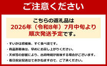 先行予約【高級】八色原すいか小玉２玉【2026年7月中旬発送】【お届け日時指定不可】