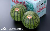 【期間限定】八色西瓜（大玉 Lサイズ) ×2玉
