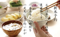 【新米予約　頒布会】南魚沼産こしひかり4kg×全3回　契約栽培  雪蔵貯蔵米