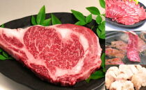 牛肉大好きセットA長崎和牛ステーキと焼肉三種盛