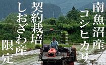 【頒布会】生産地限定 契約栽培 南魚沼しおざわ産コシヒカリ20Kg×3ヶ月