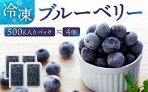 冷凍 ブルーベリー 500g ×4パック 合計2kg