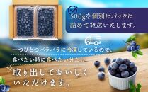 冷凍 ブルーベリー 500g ×4パック 合計2kg