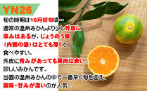 【ゆら早生みかん】【YN26】&nbsp;約3キロ&nbsp;S・2S小粒サイズ&nbsp;和歌山県産&nbsp;農園直送