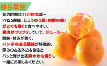【ゆら早生みかん】【YN26】&nbsp;約3キロ&nbsp;S・2S小粒サイズ&nbsp;和歌山県産&nbsp;農園直送