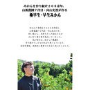 極早生 or 早生みかん 10kg 小粒SS・Sサイズおまかせ《秀品》 和歌山県産 山新農園 農園直送 まごころ産直みかん［北海道・沖縄県・一部離島 配送不可］ SSサイズ 2S 小玉 蜜柑 果物