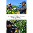 極早生 or 早生みかん 10kg 小粒SS・Sサイズおまかせ《秀品》 和歌山県産 山新農園 農園直送 まごころ産直みかん［北海道・沖縄県・一部離島 配送不可］ SSサイズ 2S 小玉 蜜柑 果物