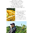 極早生 or 早生みかん 10kg 小粒SS・Sサイズおまかせ《秀品》 和歌山県産 山新農園 農園直送 まごころ産直みかん［北海道・沖縄県・一部離島 配送不可］ SSサイズ 2S 小玉 蜜柑 果物