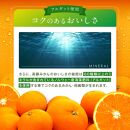 うまみ際立つ&nbsp;お歳暮みかん&nbsp;サイズ混合_5kg