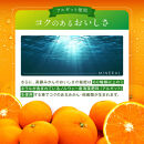 うまみ際立つ&nbsp;お歳暮みかん&nbsp;サイズ混合_10kg