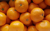 ［産直］下津蔵出しみかん約5kg（S～Lサイズおまかせ）★2026年1月中旬頃より順次出荷