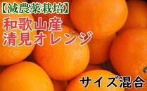 【減農薬栽培】和歌山産清見オレンジ約5kg（S～3Lサイズ混合）★2023年2月下旬より順次発送