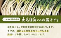 【先行予約】島らっきょう☆1kg(皮処理済)与論の味をご家庭で(令和7年4月から順次発送)