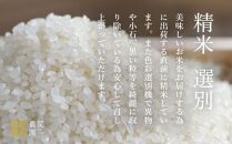 無洗米5kg 　南魚沼コシヒカリ　旧塩沢地区限定米