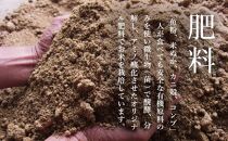 【頒布会】最高級 無農薬栽培米5kg×全6回 南魚沼産コシヒカリ