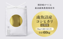 【定期便】関智晴がつくる最高級&nbsp;南魚沼産コシヒカリ&nbsp;金丸&nbsp;５kg&nbsp;×全12回　栽培期間中&nbsp;農薬化学肥料不使用