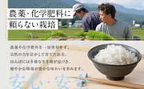【定期便】関智晴がつくる最高級&nbsp;南魚沼産コシヒカリ&nbsp;金丸&nbsp;５kg&nbsp;×全12回　栽培期間中&nbsp;農薬化学肥料不使用