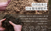 【定期便】関智晴がつくる最高級&nbsp;南魚沼産コシヒカリ&nbsp;金丸&nbsp;５kg&nbsp;×全12回　栽培期間中&nbsp;農薬化学肥料不使用