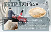 【定期便】関智晴がつくる最高級&nbsp;南魚沼産コシヒカリ&nbsp;金丸&nbsp;５kg&nbsp;×全12回　栽培期間中&nbsp;農薬化学肥料不使用
