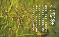 【頒布会】関智晴がつくる最高級&nbsp;無農薬栽培米10kg(5kg×2個)×全12回&nbsp;南魚沼産コシヒカリ