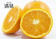 ★2月中旬～発送予定★おすすめフレッシュ柑橘３種詰合せ(約4kg)